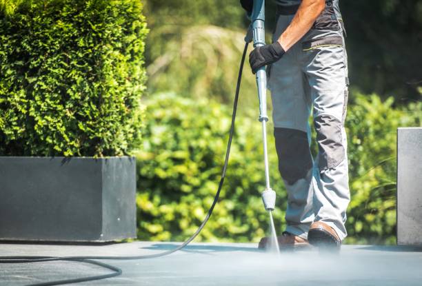 Best Fence Cleaning  in Lodi, OH