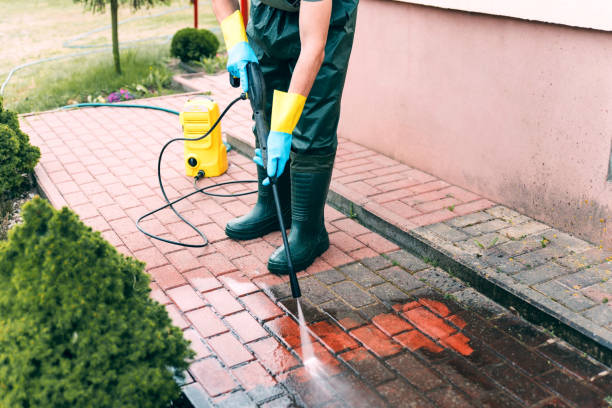 Best Animal Enclosure Cleaning  in Lodi, OH